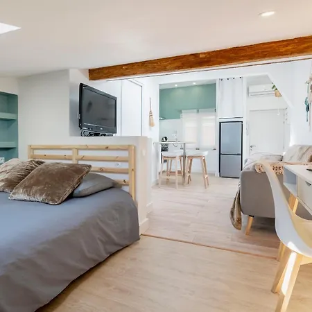 Plein Centre Des Couverts, Calme Et Climatisé Appartamento Mirepoix (Ariege)