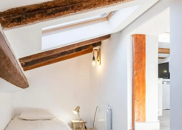 Plein Centre Des Couverts, Calme Et Climatise 아파트 미르포아